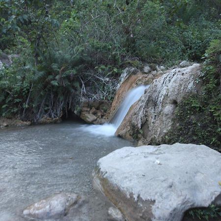 רישיקש Perfect Stayz Premium Forest Valley Near Waterfall מראה חיצוני תמונה
