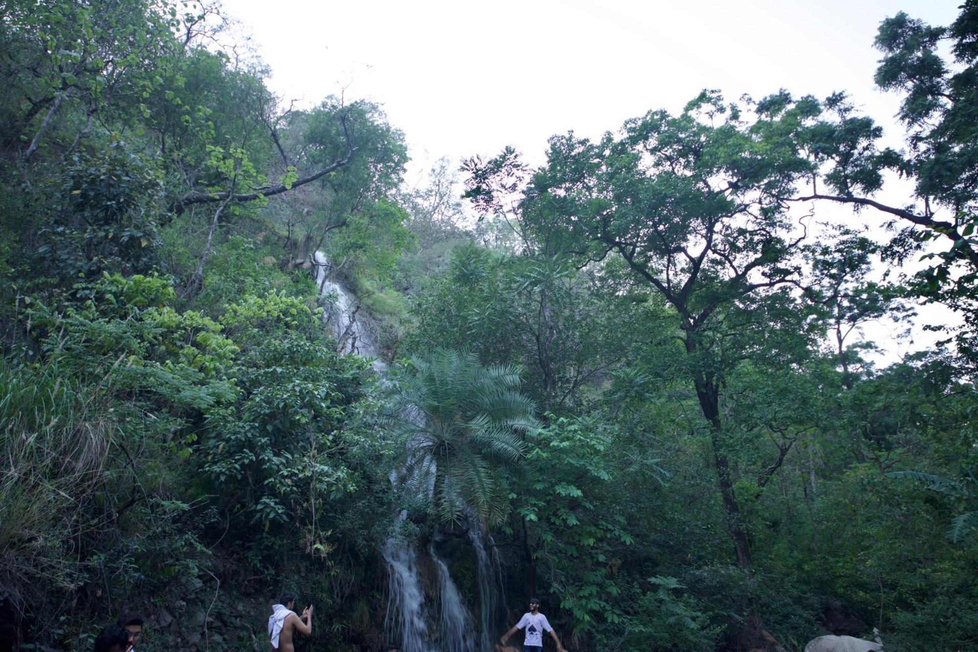 רישיקש Perfect Stayz Premium Forest Valley Near Waterfall מראה חיצוני תמונה