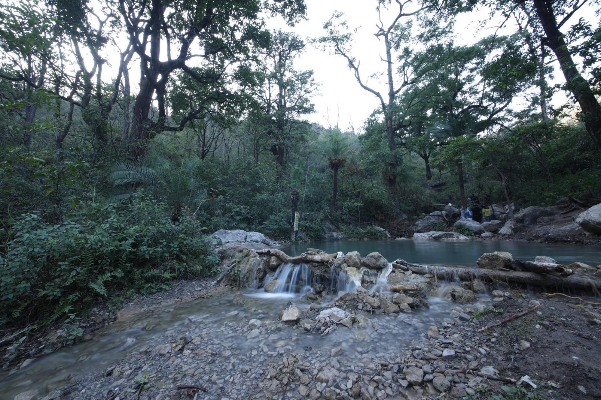 רישיקש Perfect Stayz Premium Forest Valley Near Waterfall מראה חיצוני תמונה